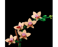 LEGO Botanicals 10343 Mała orchidea - 1283645 - zdjęcie 12
